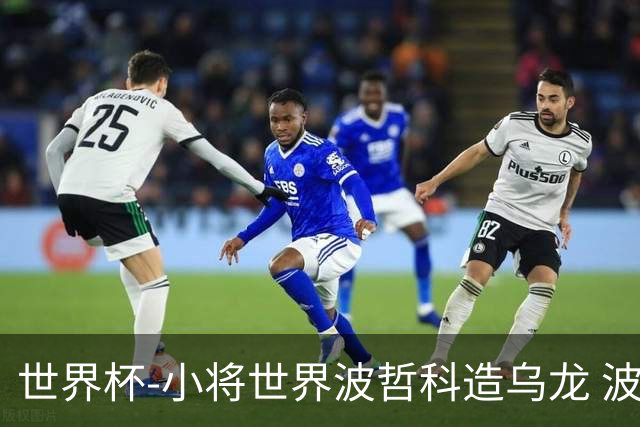 世界杯-小将世界波哲科造乌龙 波黑半场暂2-1卡塔尔