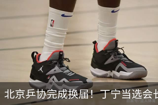 北京乒协完成换届！丁宁当选会长 刘国正等人当选副会长