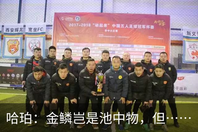 哈珀：金鳞岂是池中物，但……