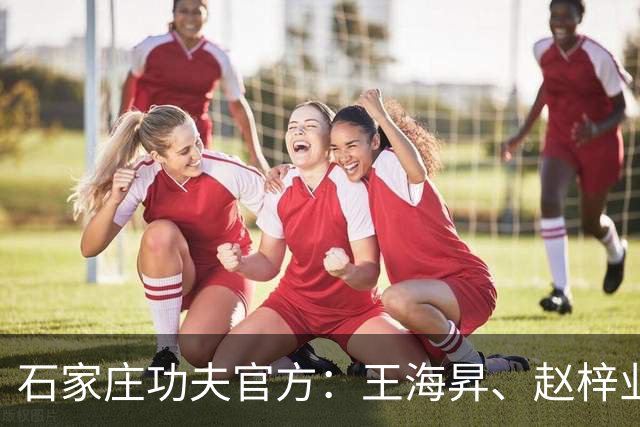 石家庄功夫官方：王海昇、赵梓业、徐友刚、韩东等5名球员离队
