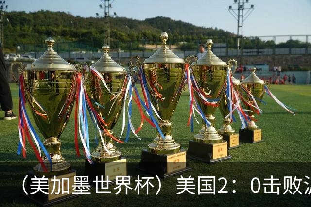 （美加墨世界杯）美国2：0击败波黑 三支东道主球队均晋级16强